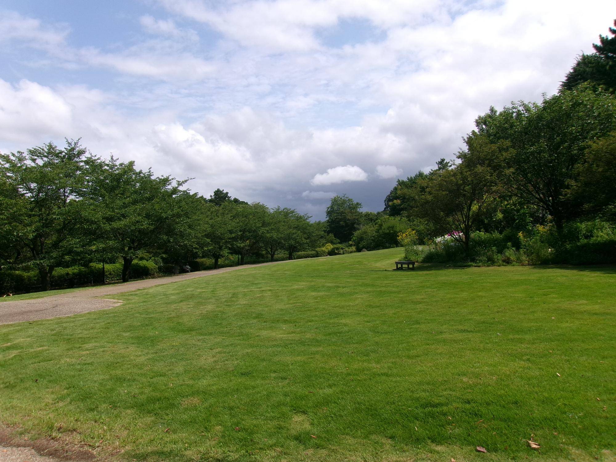 101_1873.jpg