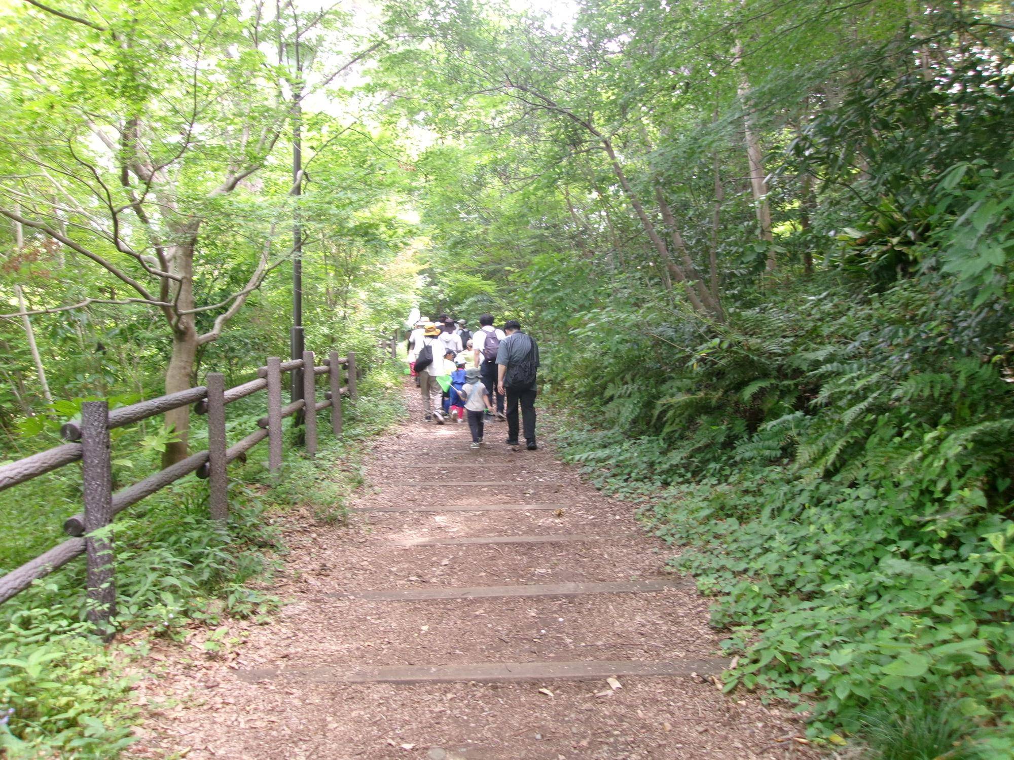 101_1881.jpg