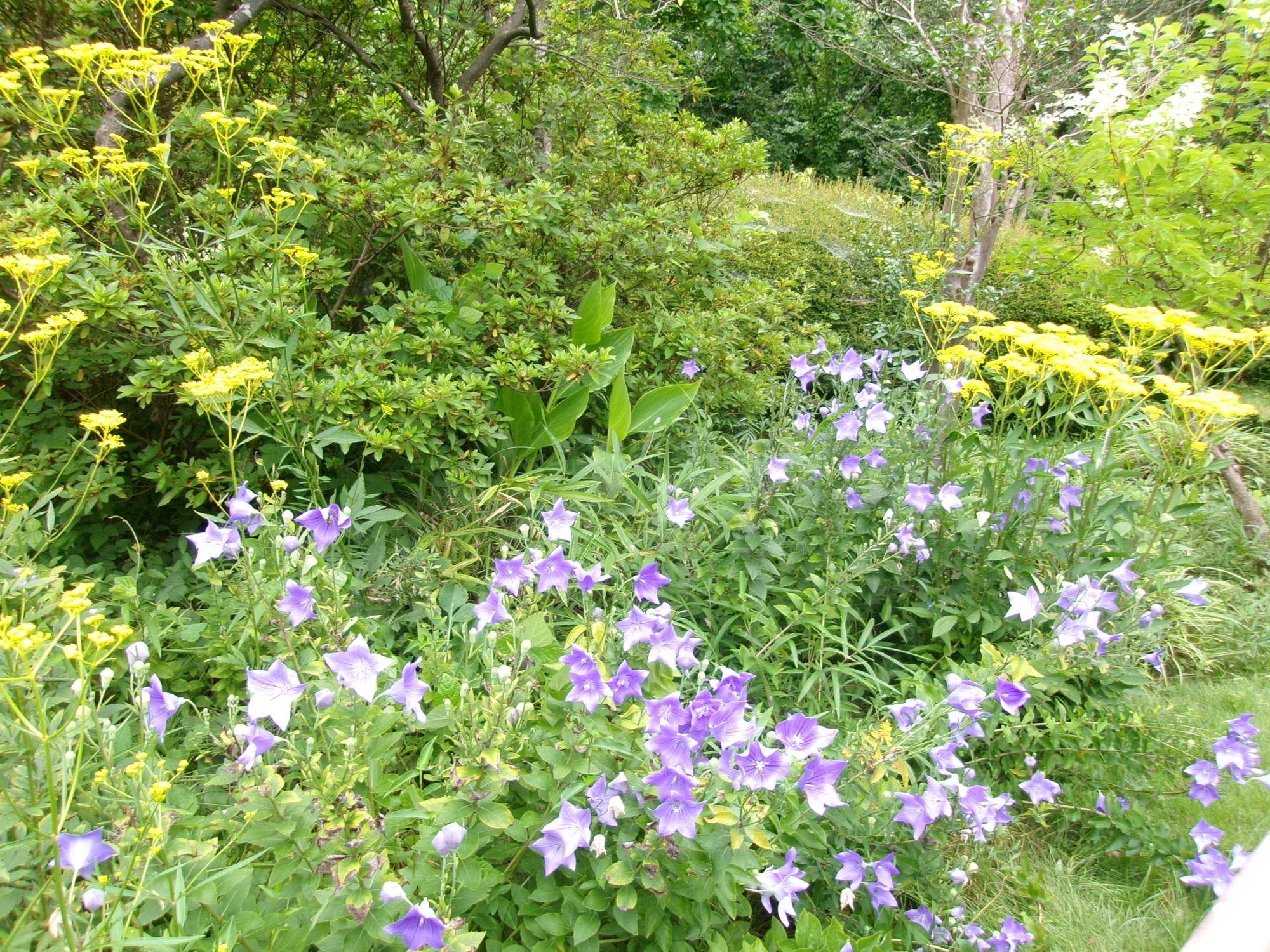 101_1906.jpg