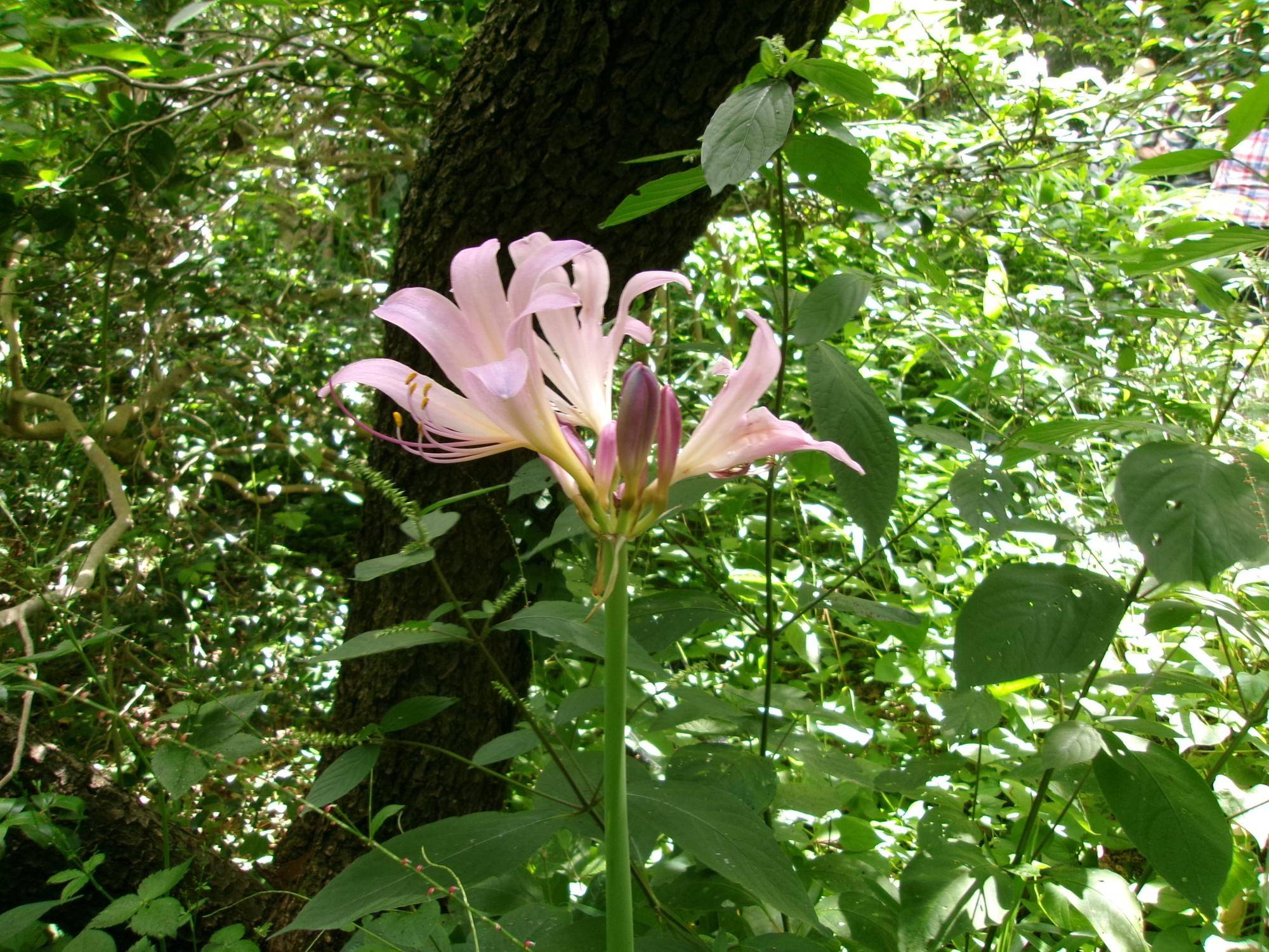 101_1957.jpg