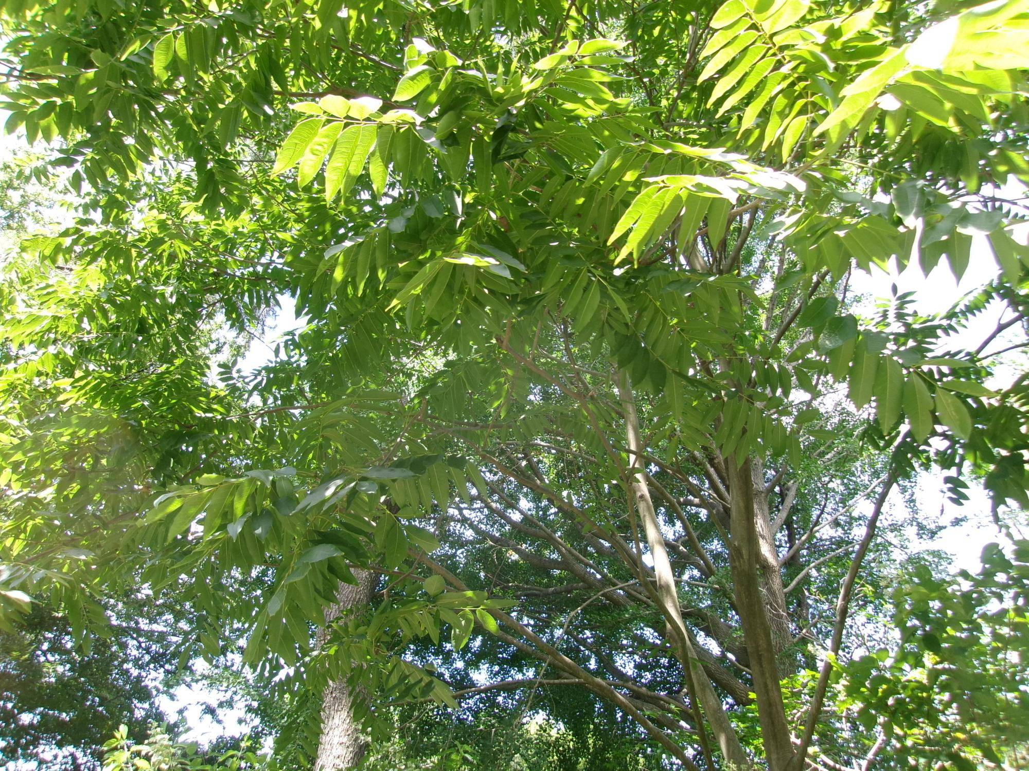101_1999.jpg