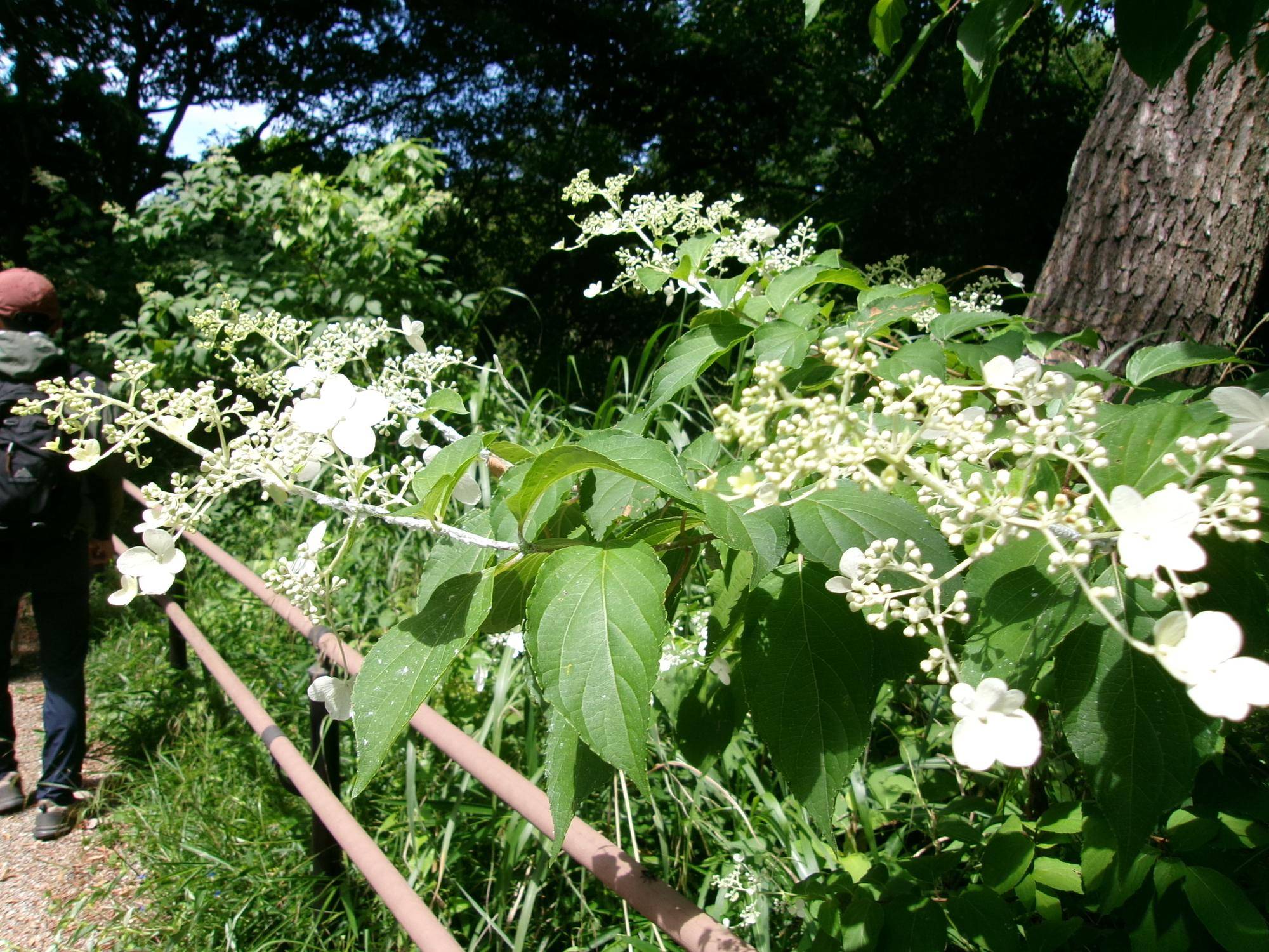 101_2002.jpg
