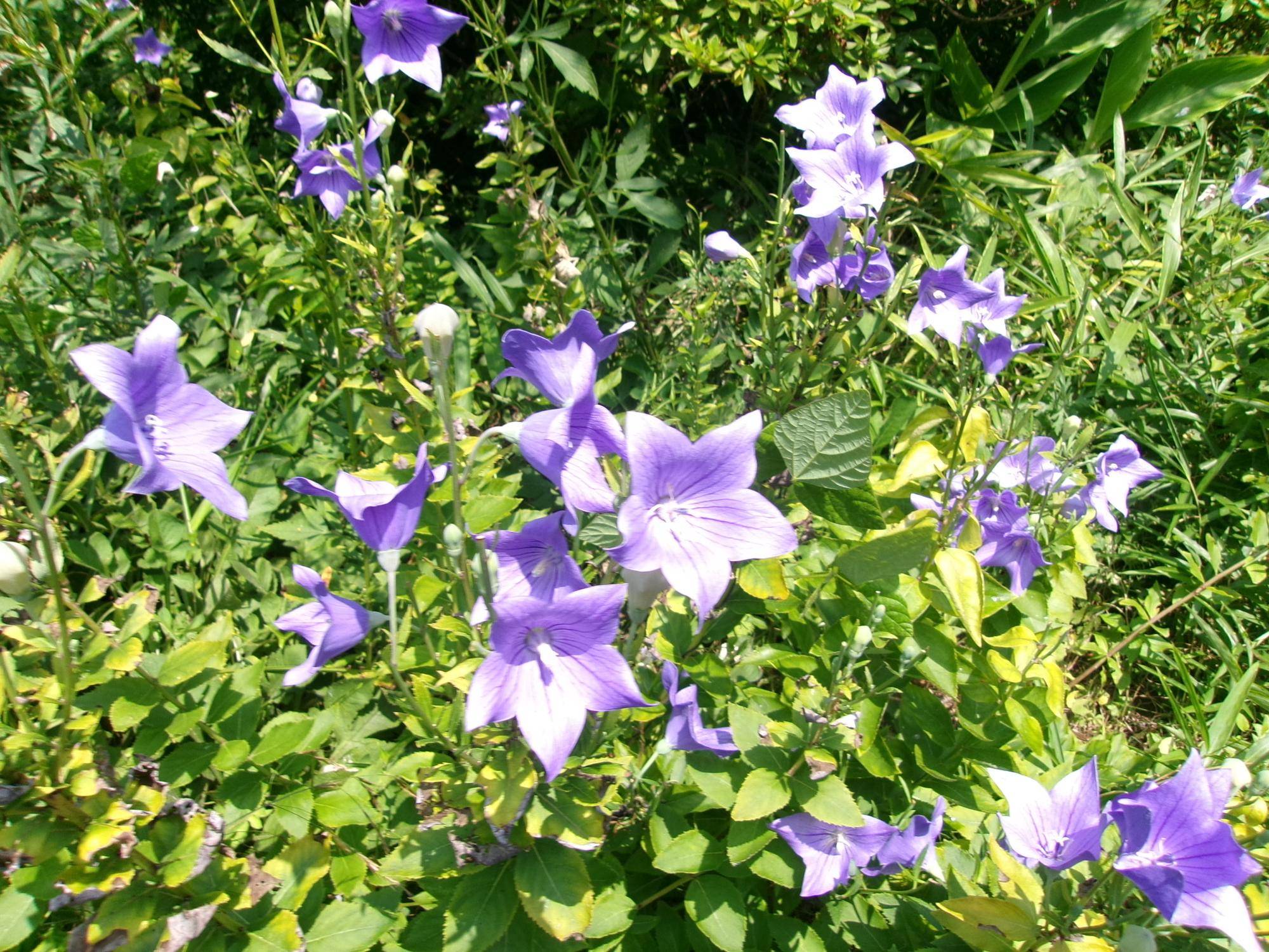 101_2107.jpg