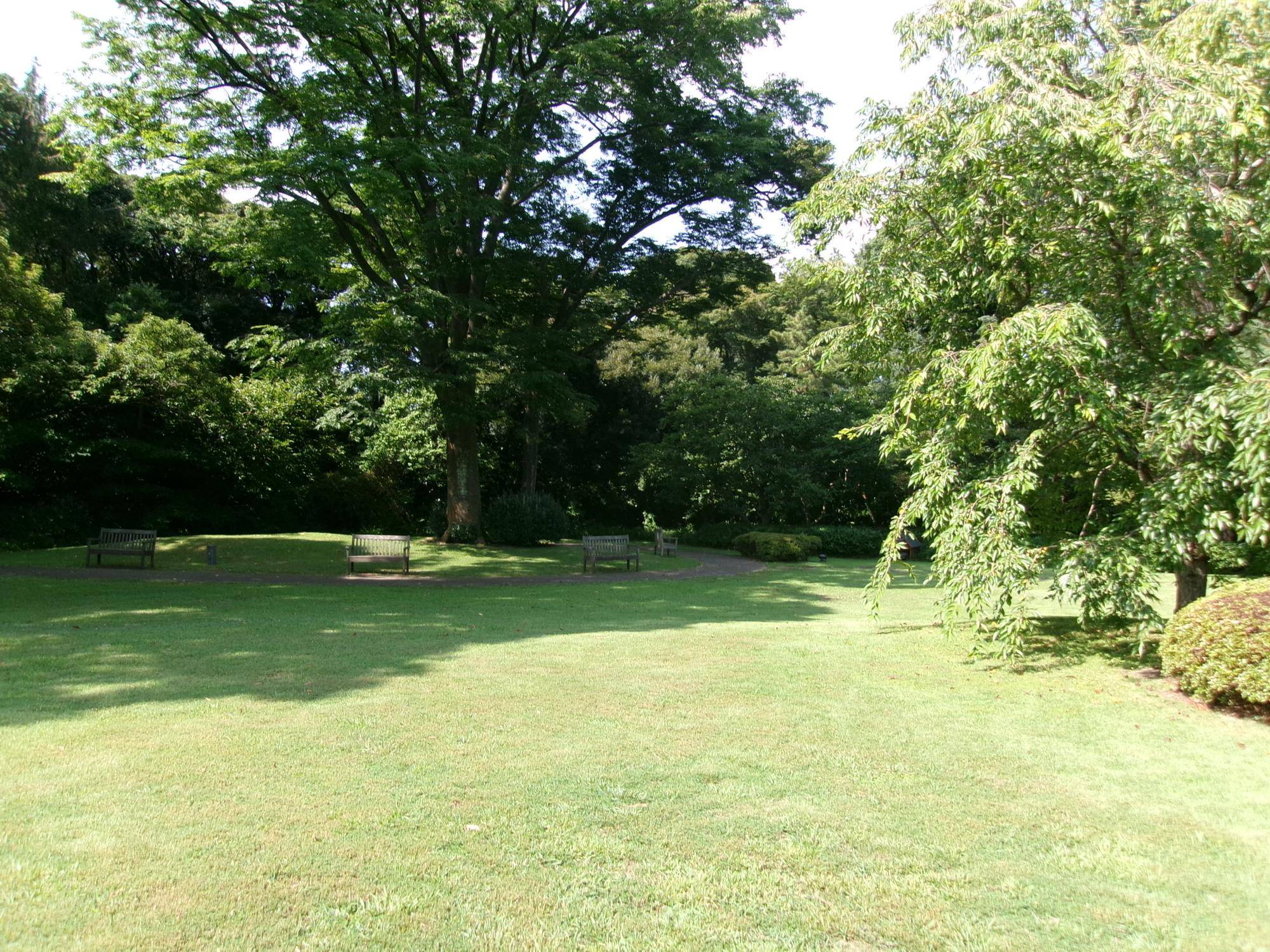 101_2132.jpg