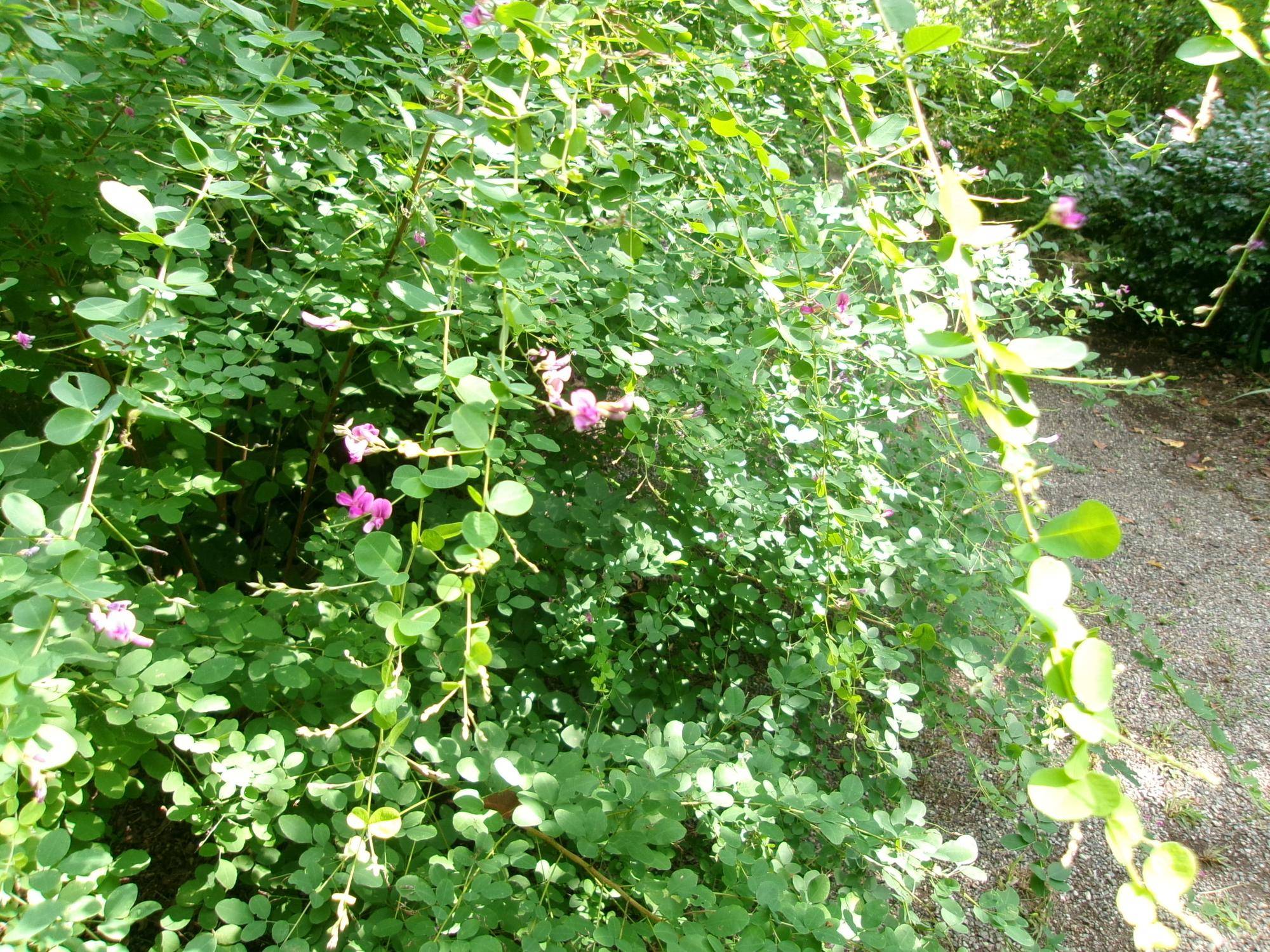 101_2745.jpg