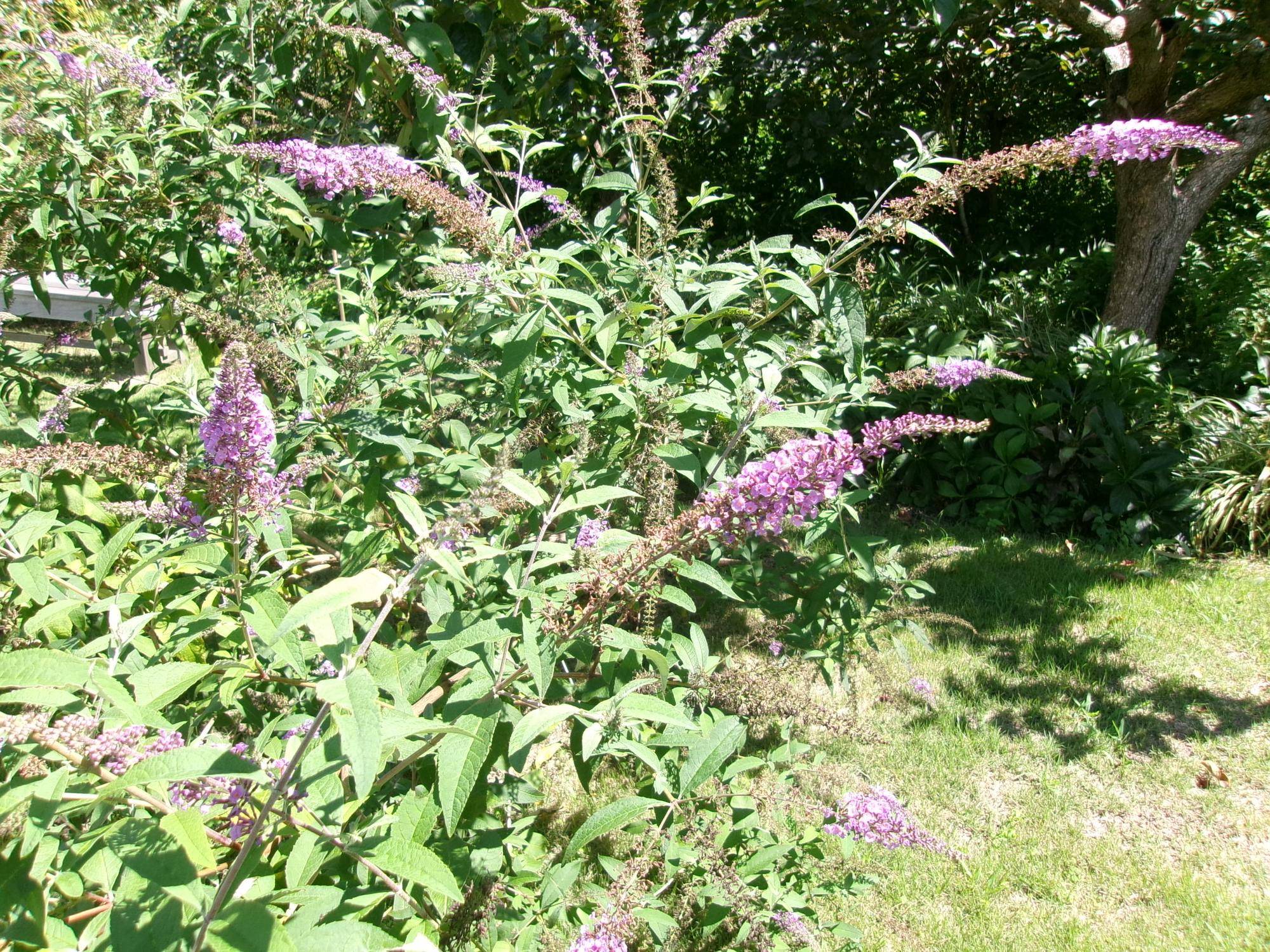 101_2812.jpg