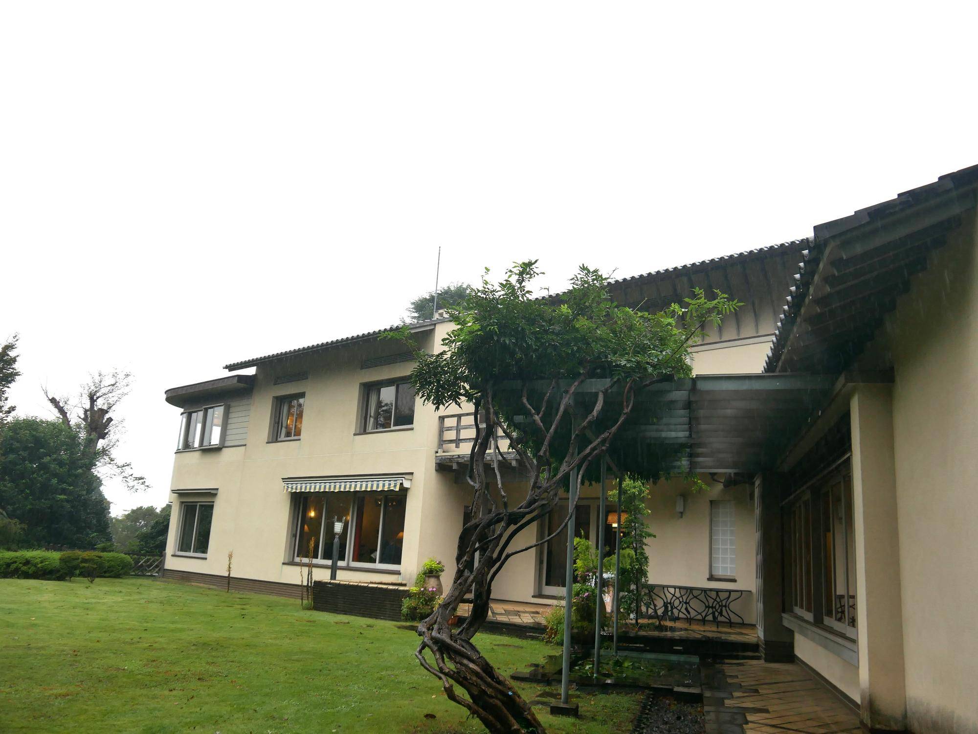 P1100356.jpg