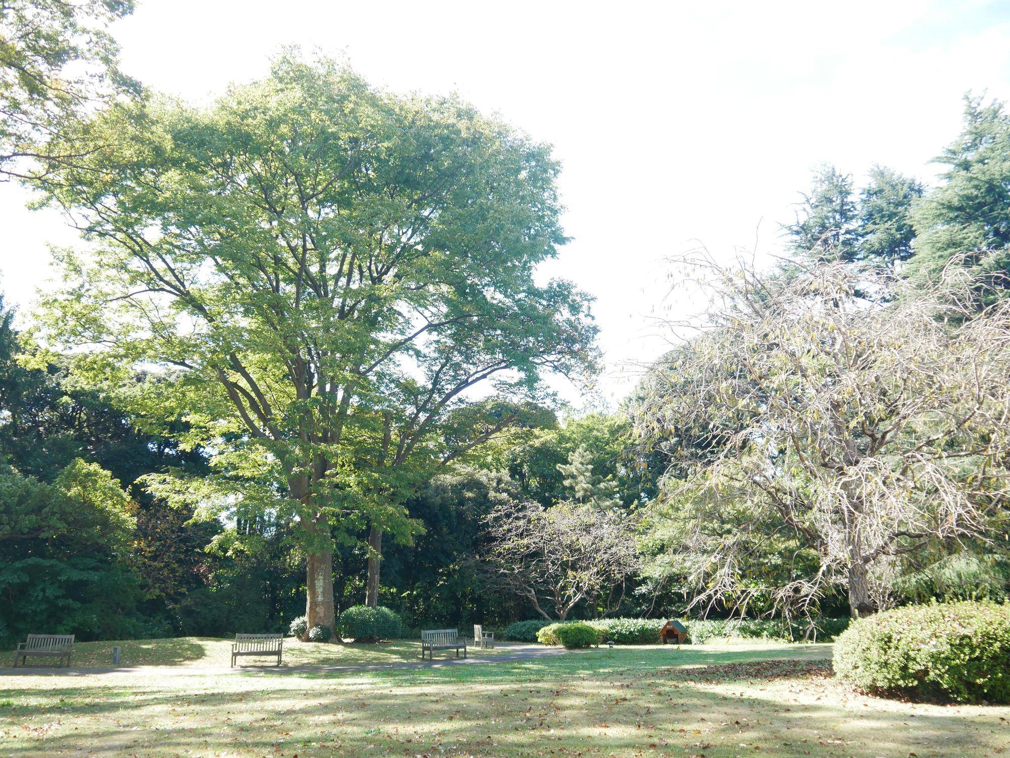P1100471.jpg