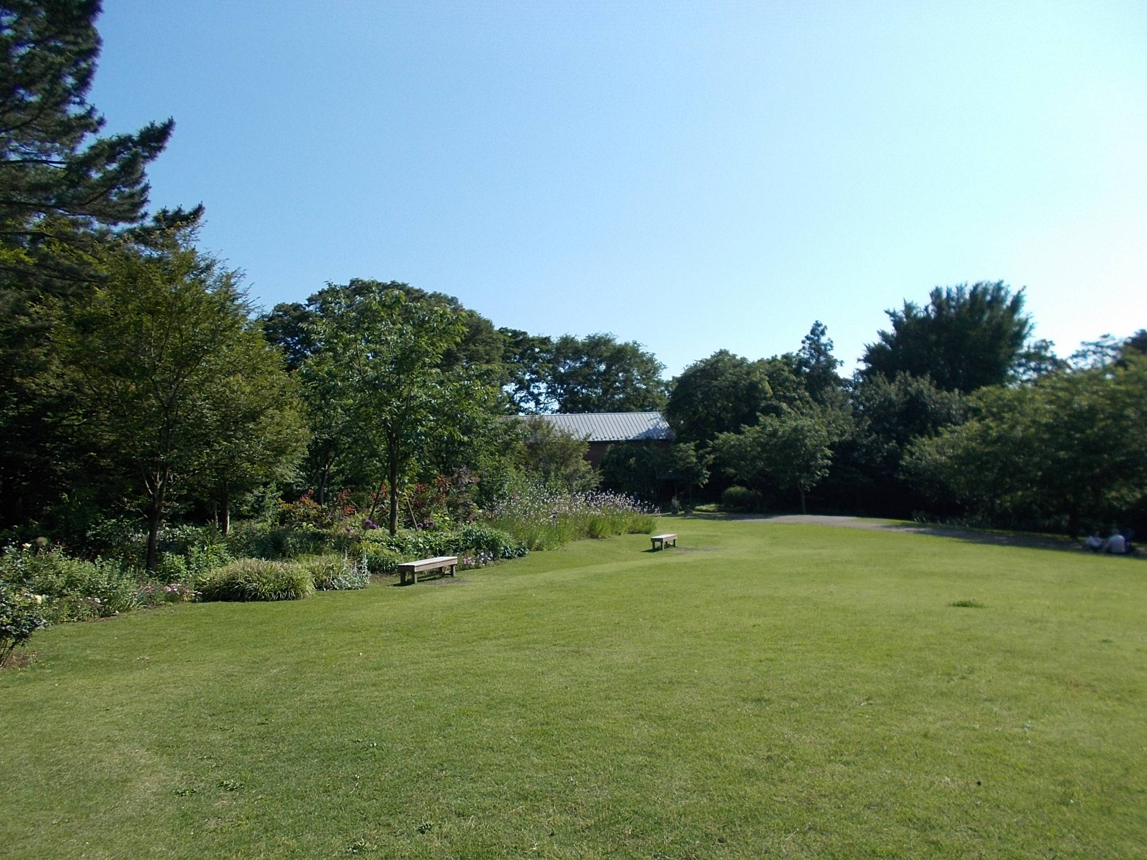 DSCN9979.jpg