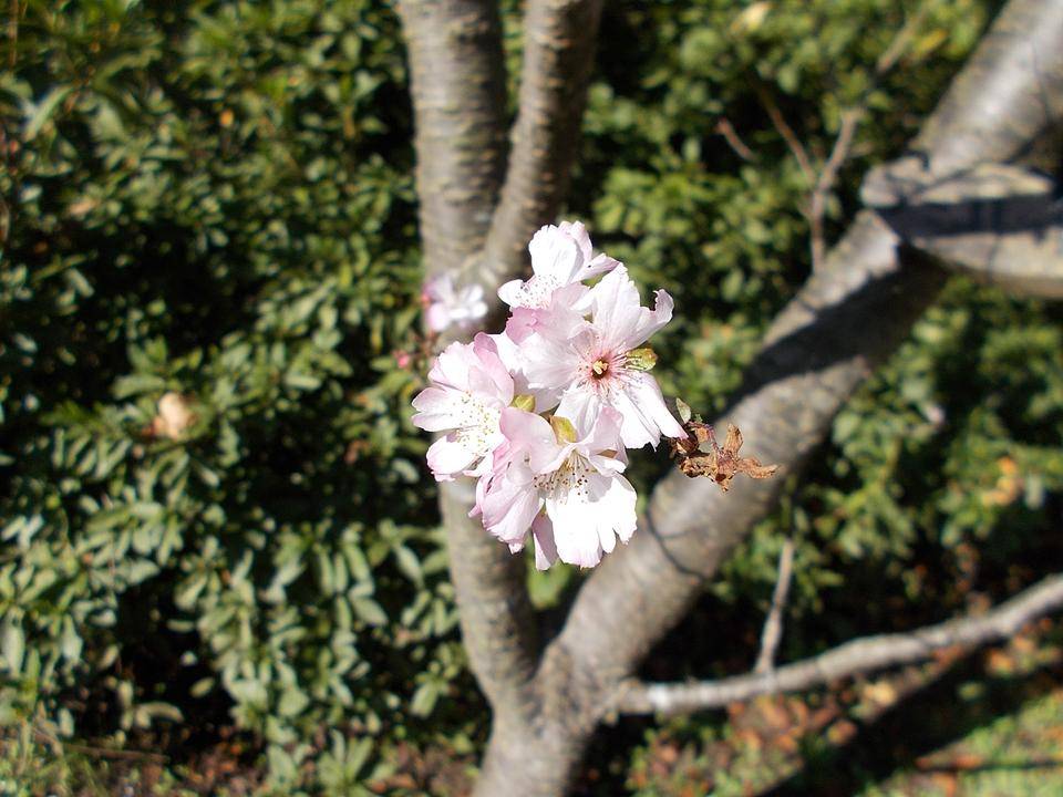 DSCN7211 - コピー.jpg