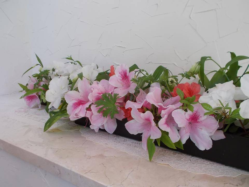 DSCN0608.jpg