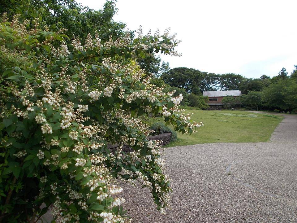DSCN0851.jpg