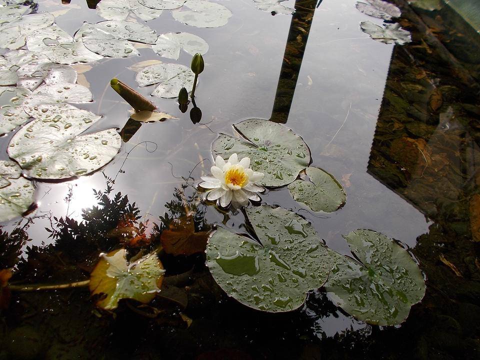 DSCN0830.jpg