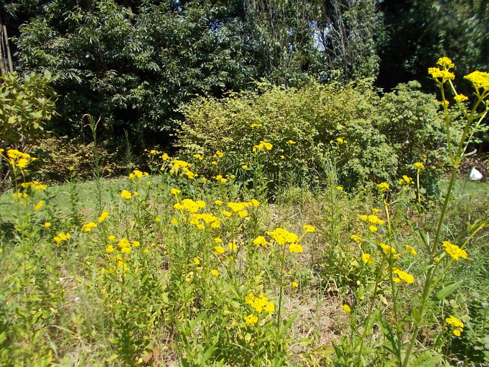 DSCN1089.jpg