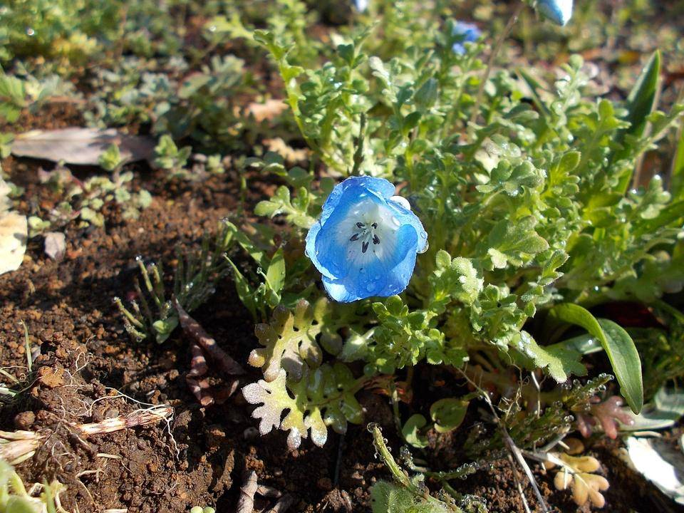 DSCN0140.jpg