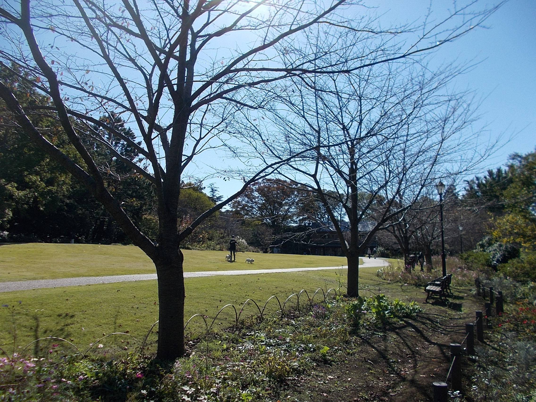 DSCN7204 - コピー.jpg