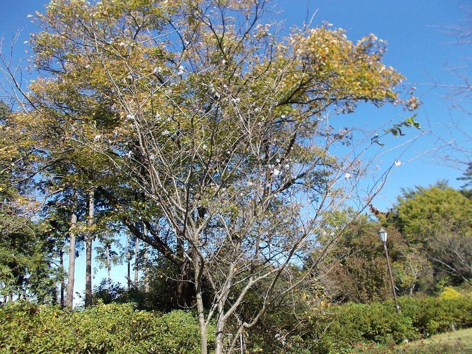 DSCN7213 - コピー.jpg