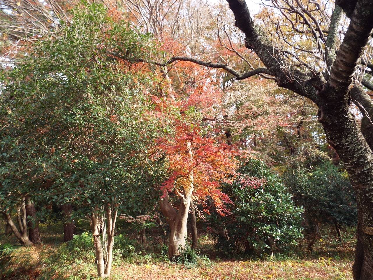 /park/matanobettei/authora8510/7741aa2fa7b735d732aadfd43d66f105d80cc495.jpg