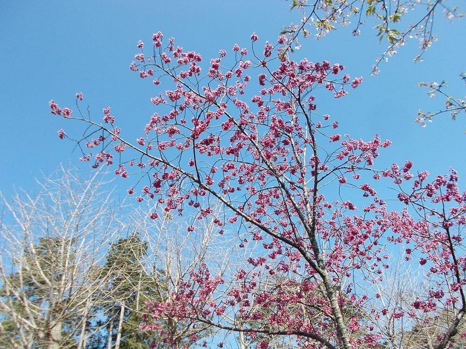 DSCN0130.jpg