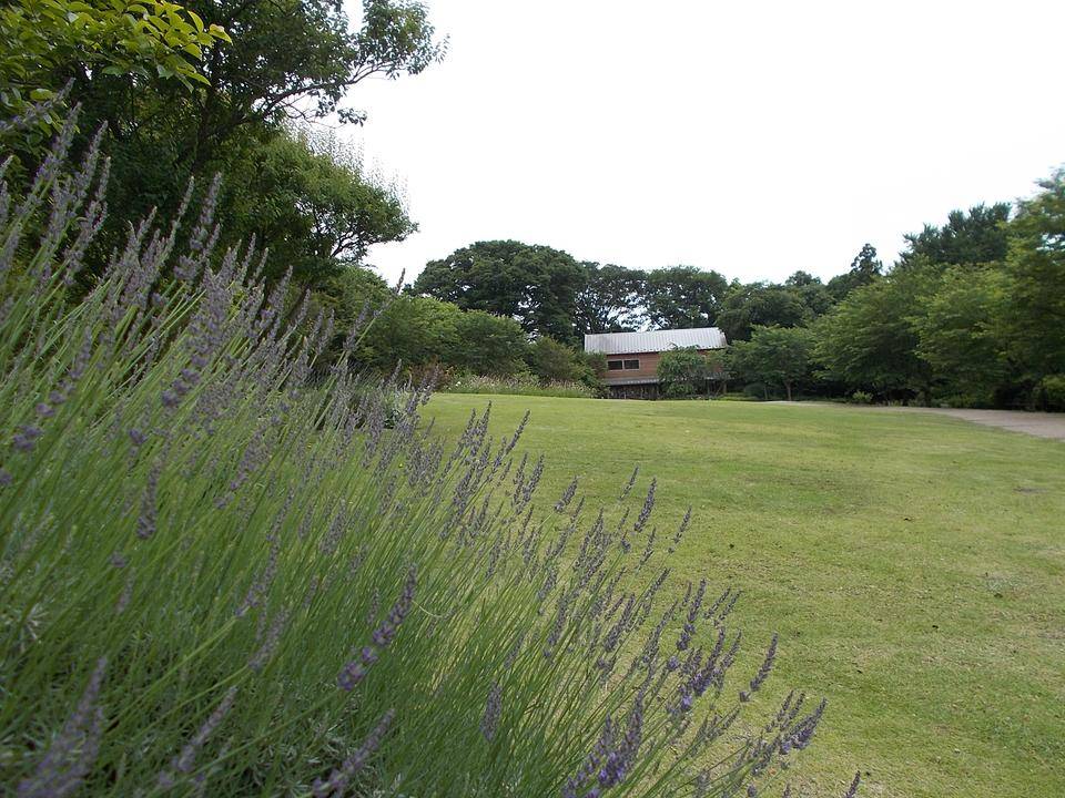 梅雨空の下で ブログ 俣野別邸庭園公式サイト 公益財団法人 横浜市緑の協会