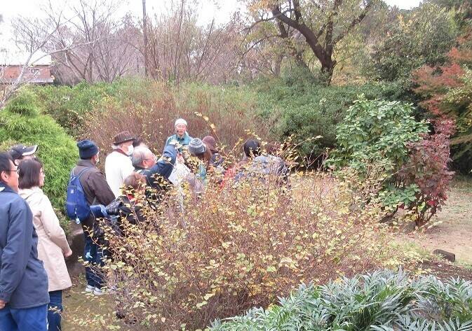 庭園見学.jpg