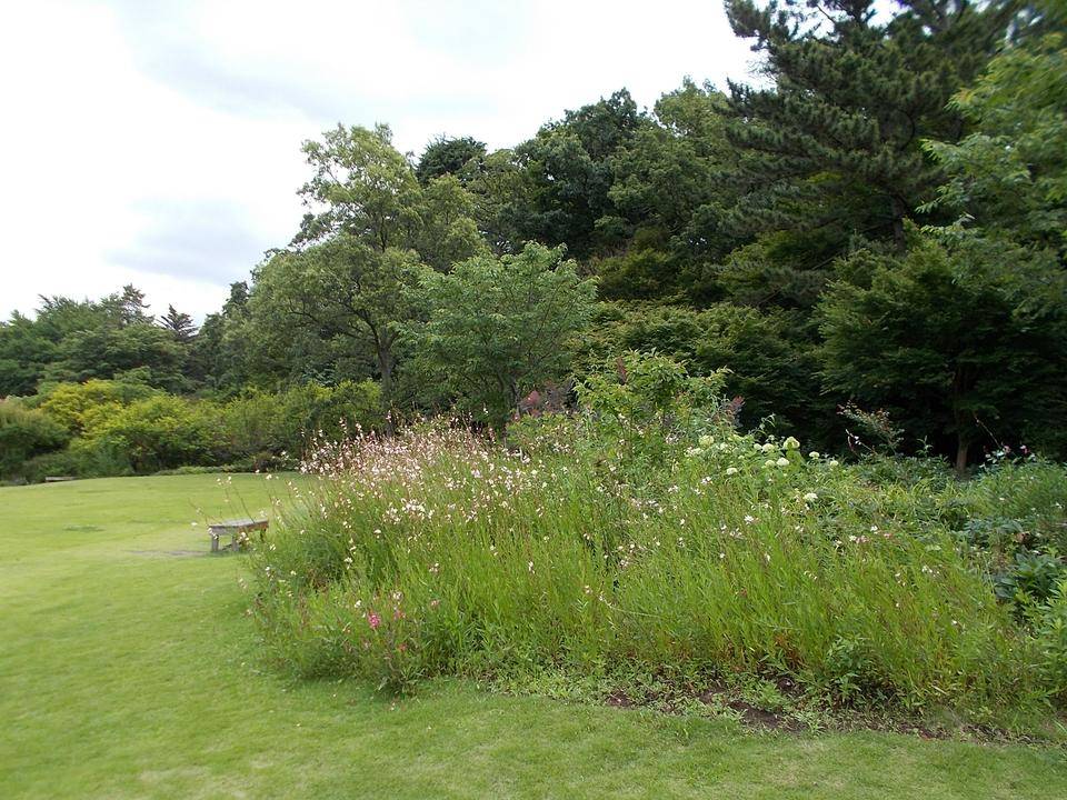 DSCN6061.jpg