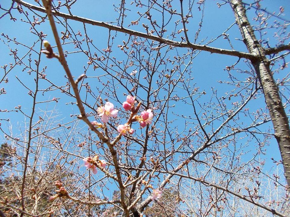 DSCN9738.jpg