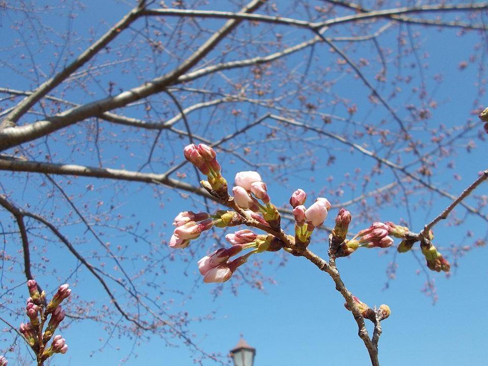 DSCN0121.jpg