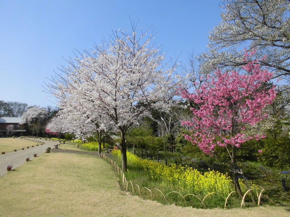 /park/matanobettei/authora8510/99dee2d31d1a6ab6b74133777e4a9847f76dafba.jpg