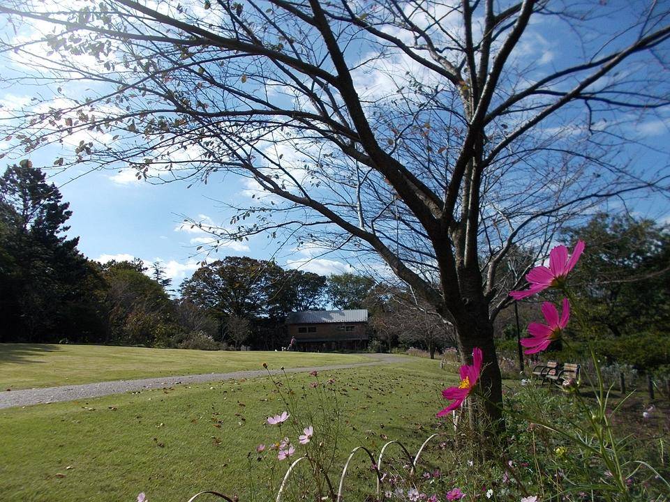 DSCN7091.jpg