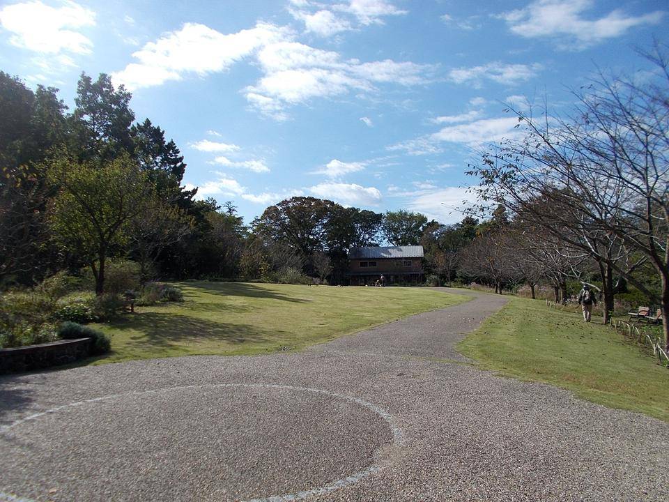 DSCN7093.jpg