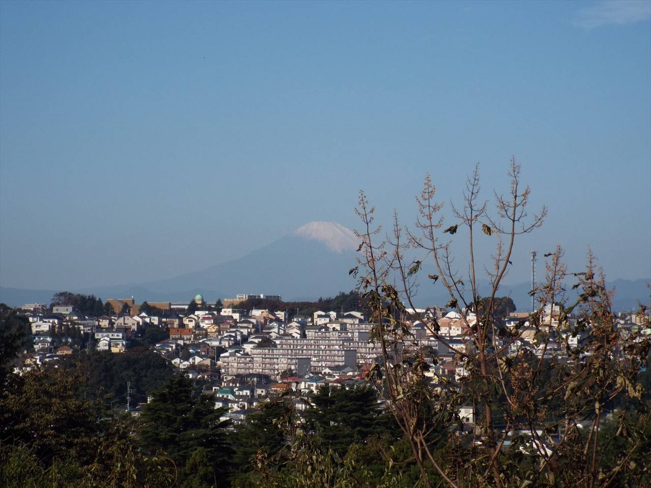 /park/matanobettei/authora8510/DSCF2760_R.jpg