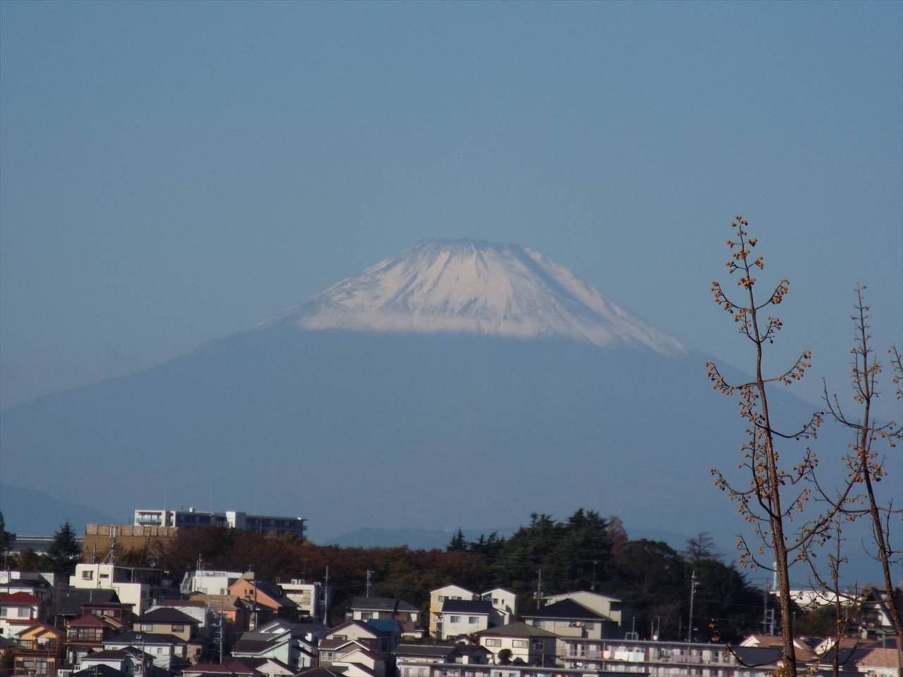 /park/matanobettei/authora8510/DSCF3175_R.jpg