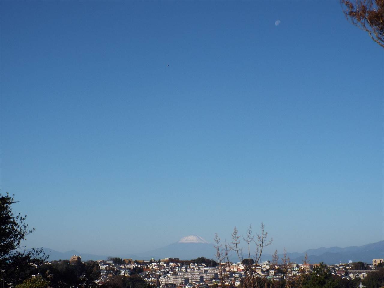 /park/matanobettei/authora8510/DSCF3181_R.jpg