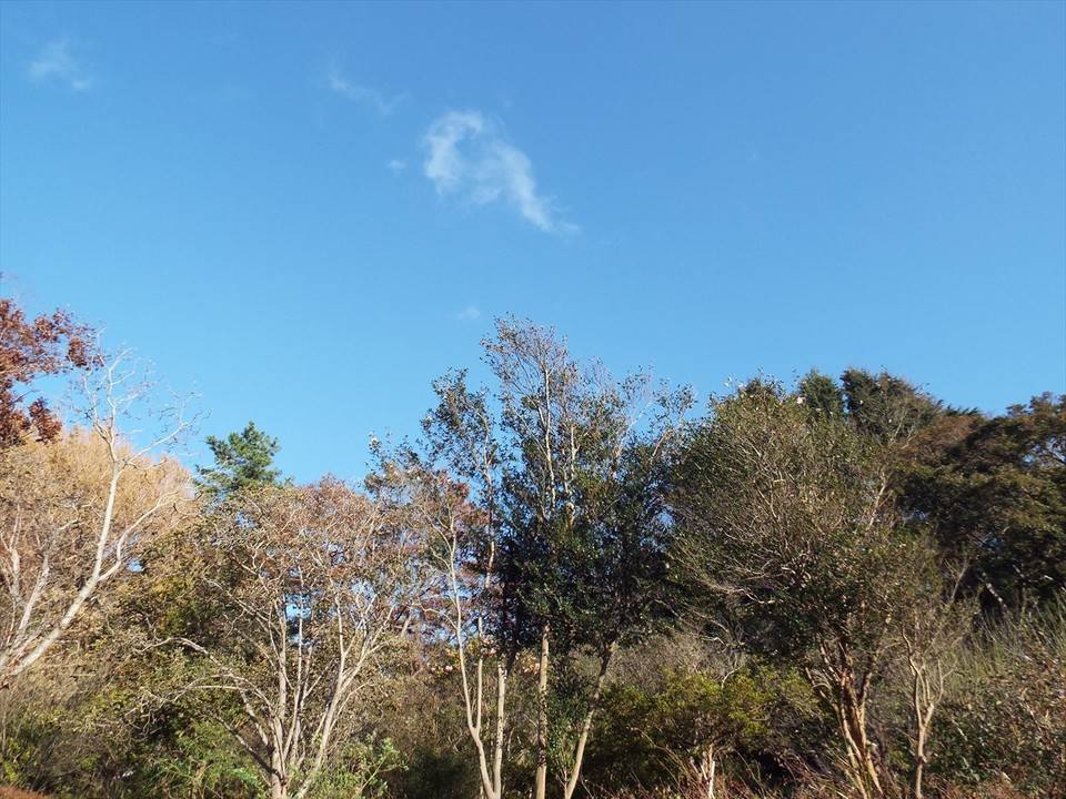 /park/matanobettei/authora8510/DSCF3570_R.jpg