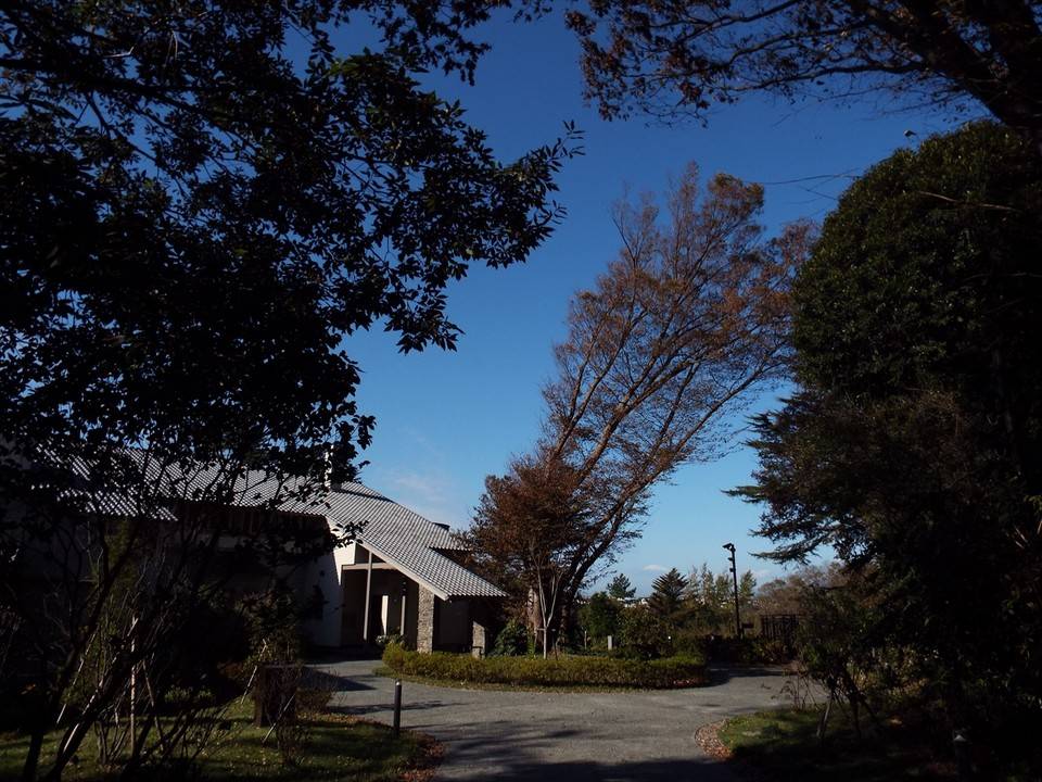 /park/matanobettei/authora8510/DSCF3811_R.jpg