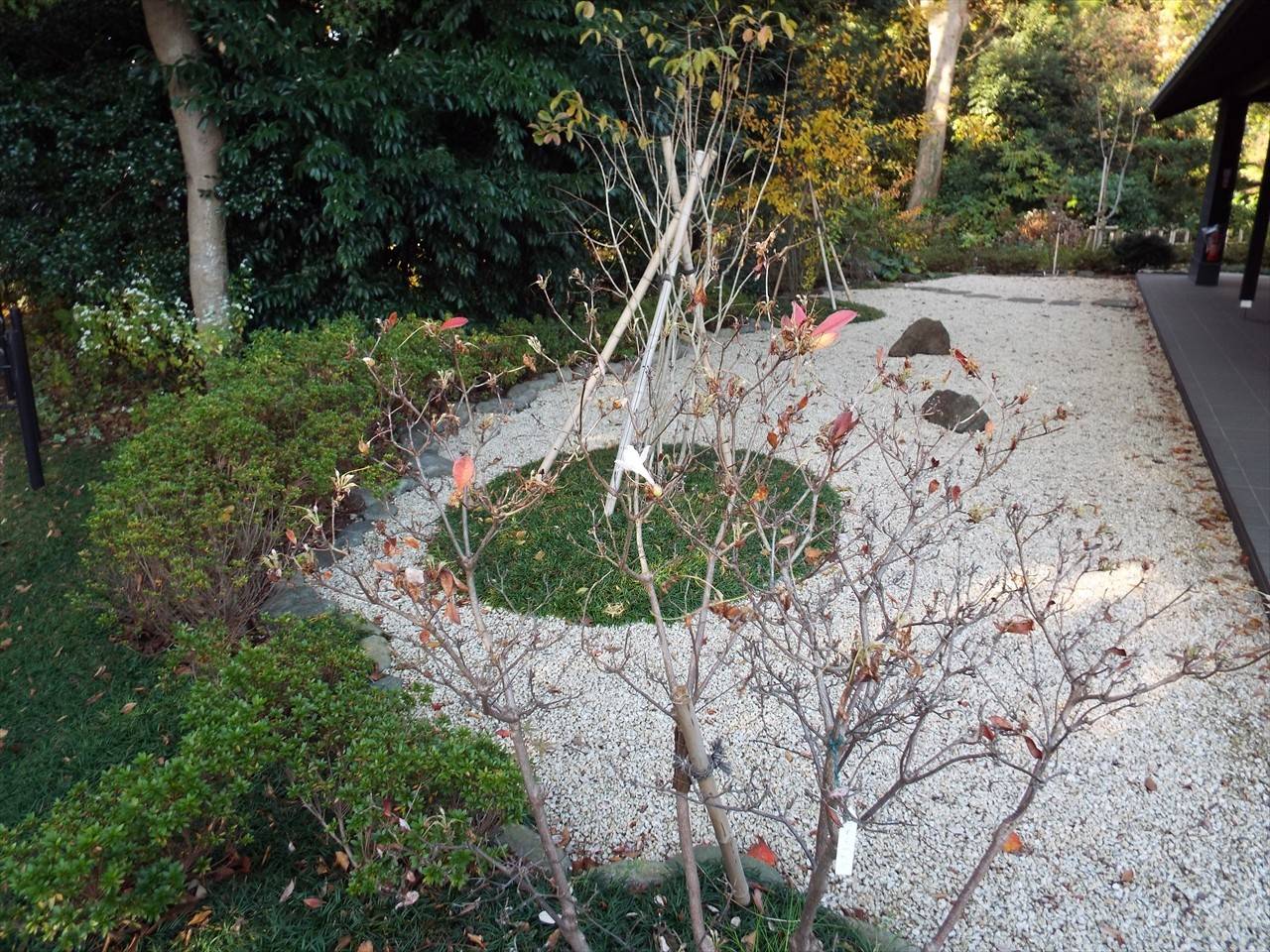 /park/matanobettei/authora8510/DSCF4462_R.jpg
