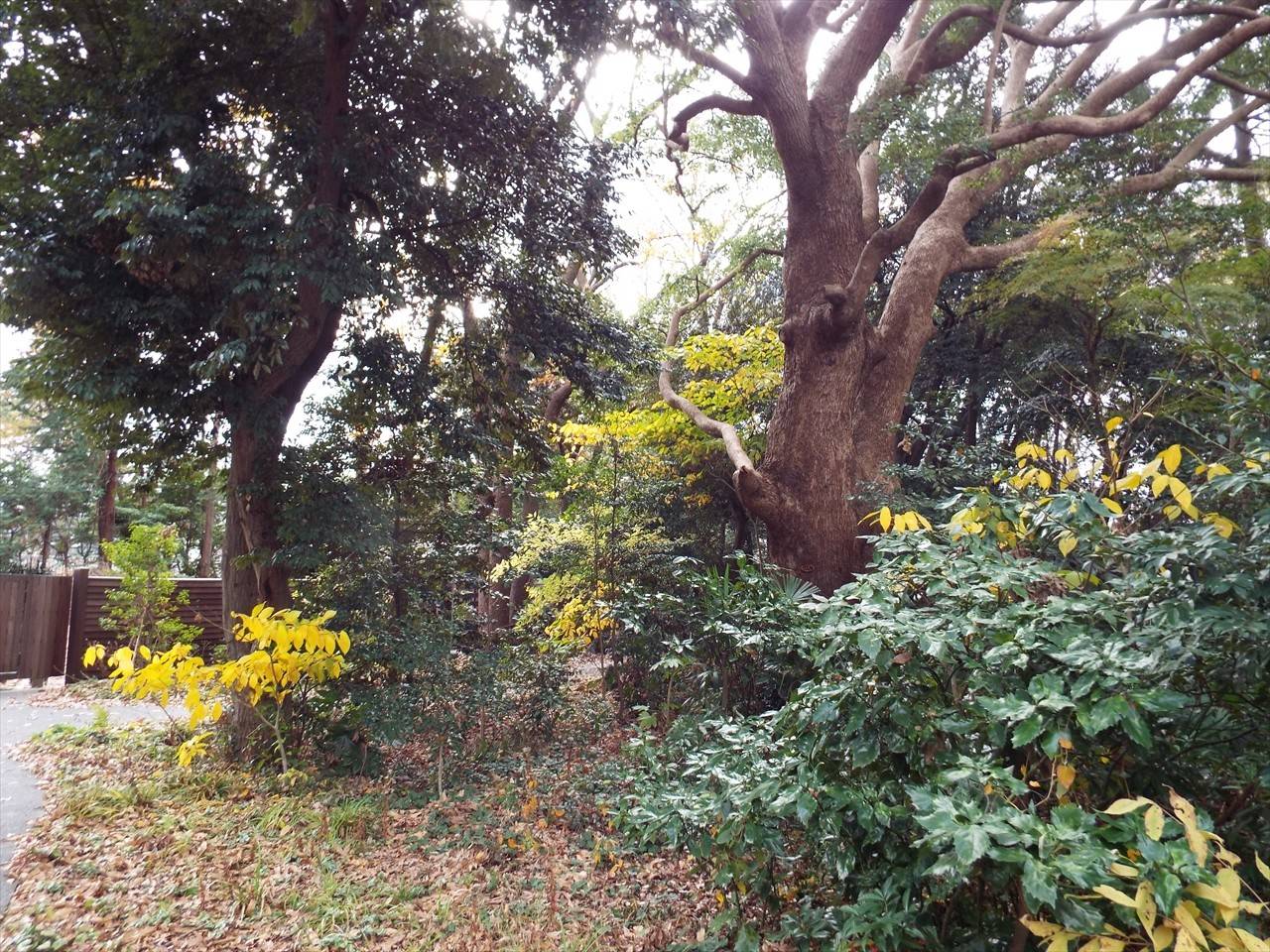 /park/matanobettei/authora8510/DSCF4883_R.jpg