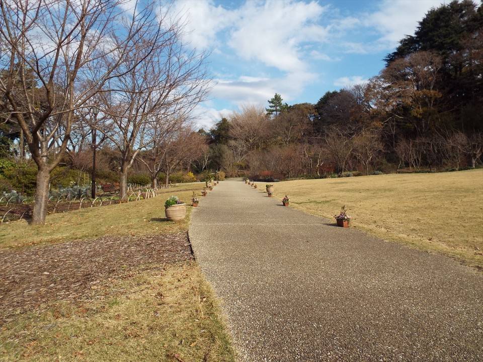 /park/matanobettei/authora8510/DSCF5003_R.jpg