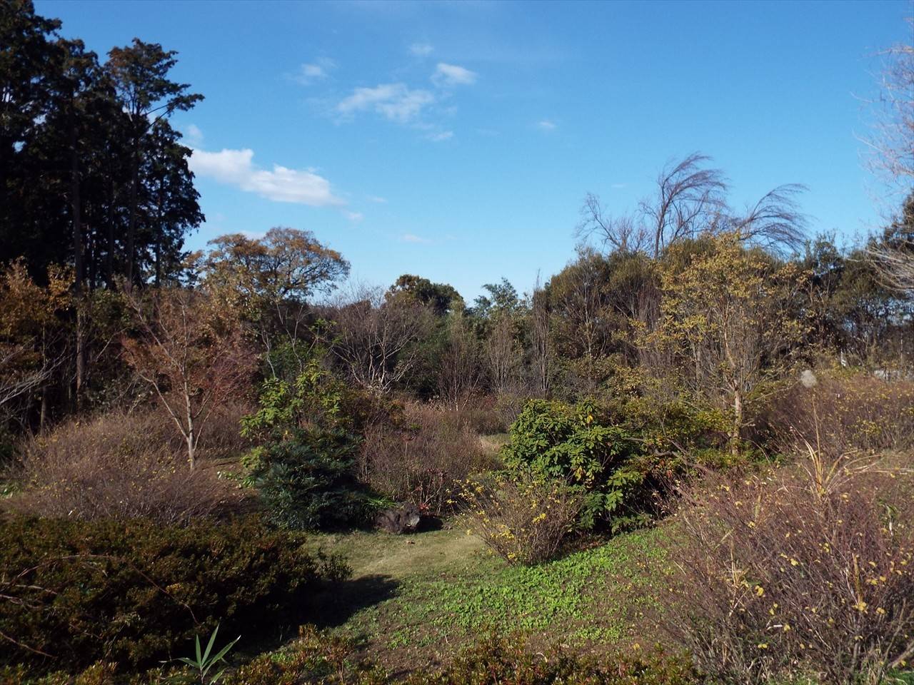 /park/matanobettei/authora8510/DSCF5135_R.jpg