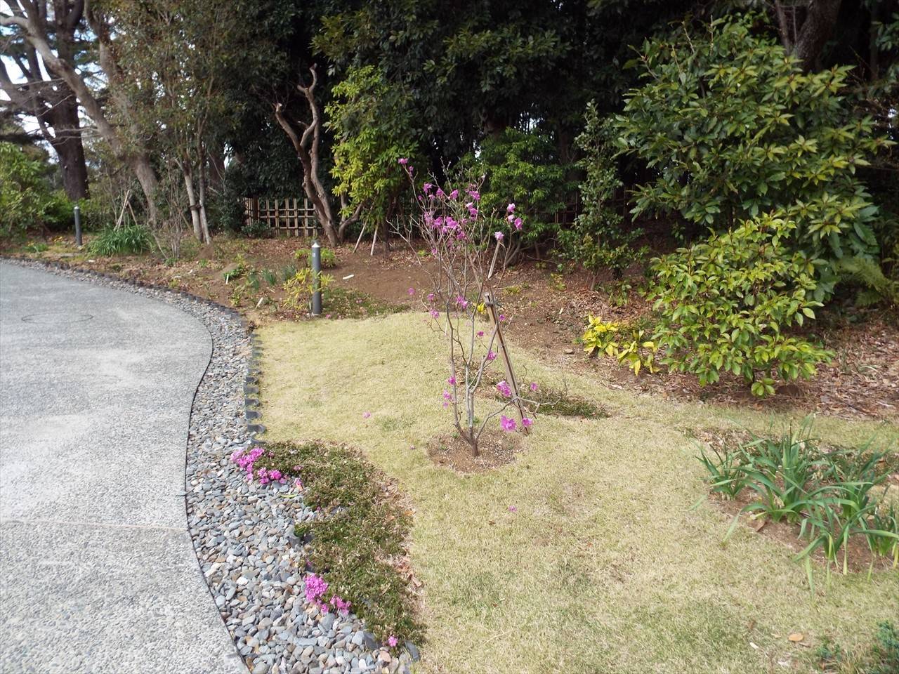 /park/matanobettei/authora8510/DSCF7344_R.jpg