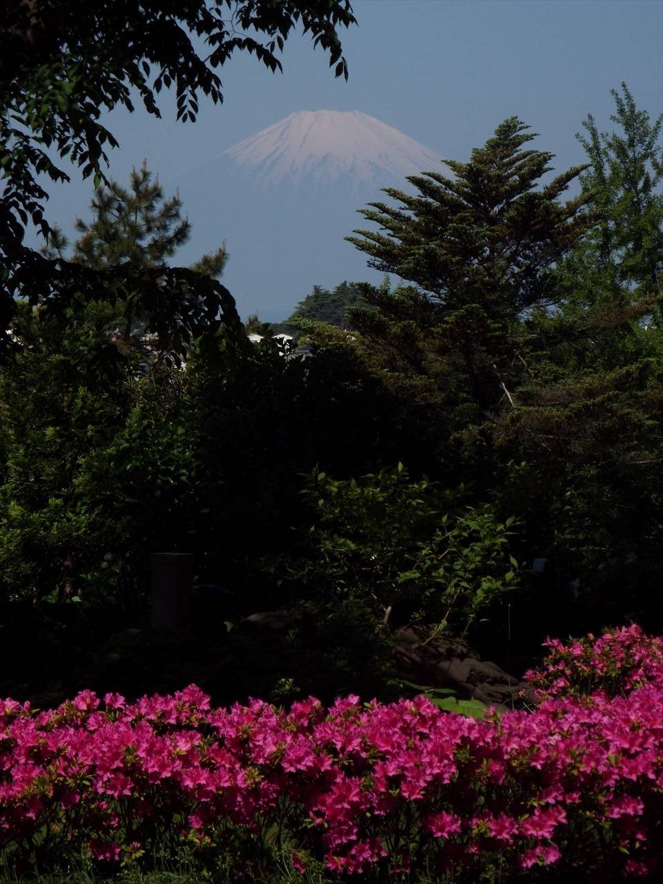 /park/matanobettei/authora8510/DSCF7981_R.jpg