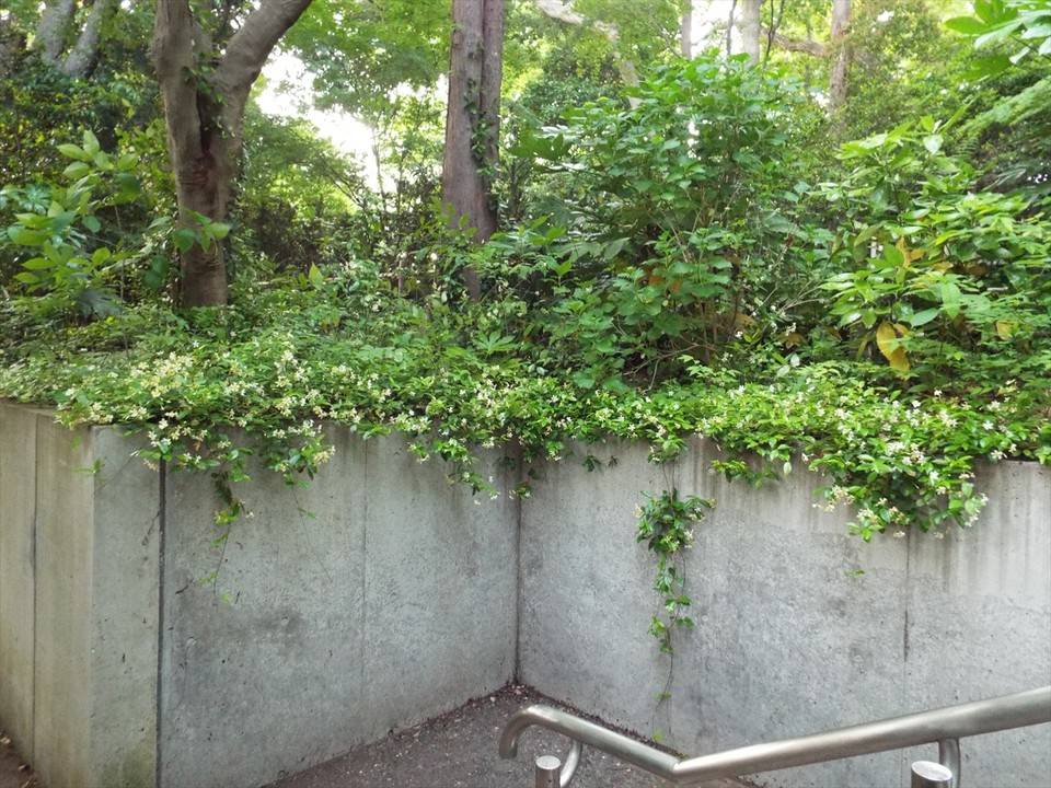 /park/matanobettei/authora8510/DSCF8651_R.jpg