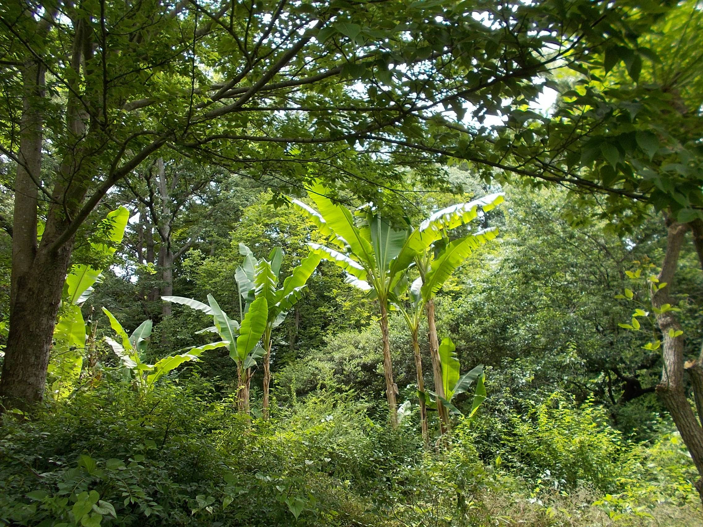 DSCN0008.jpg