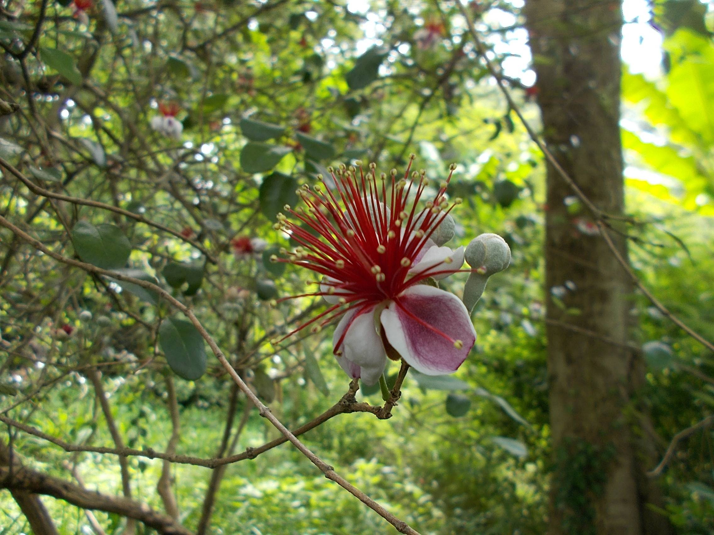 DSCN0009.jpg