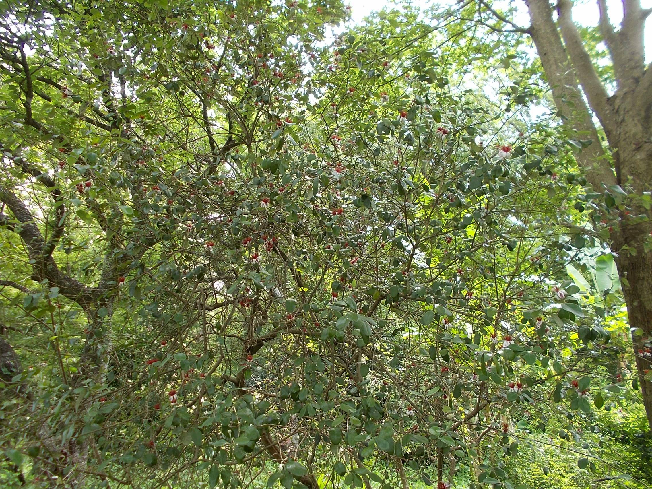 DSCN0013.jpg
