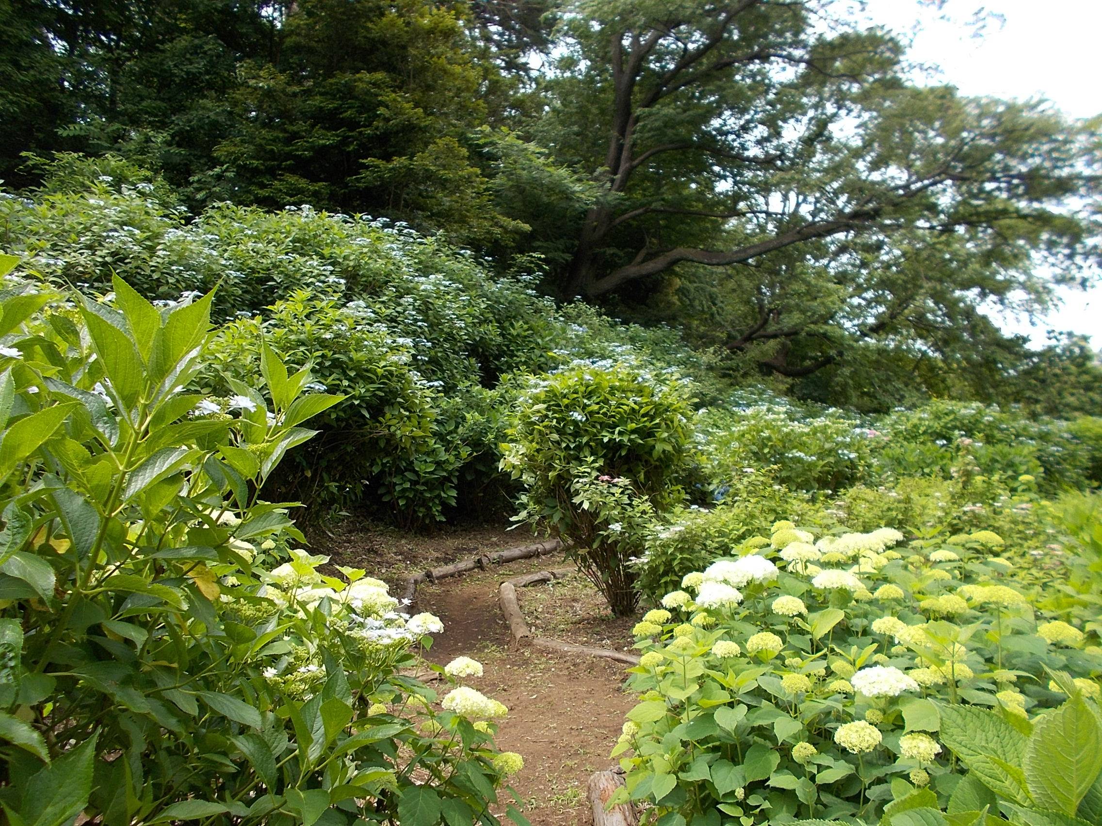 DSCN0018.jpg