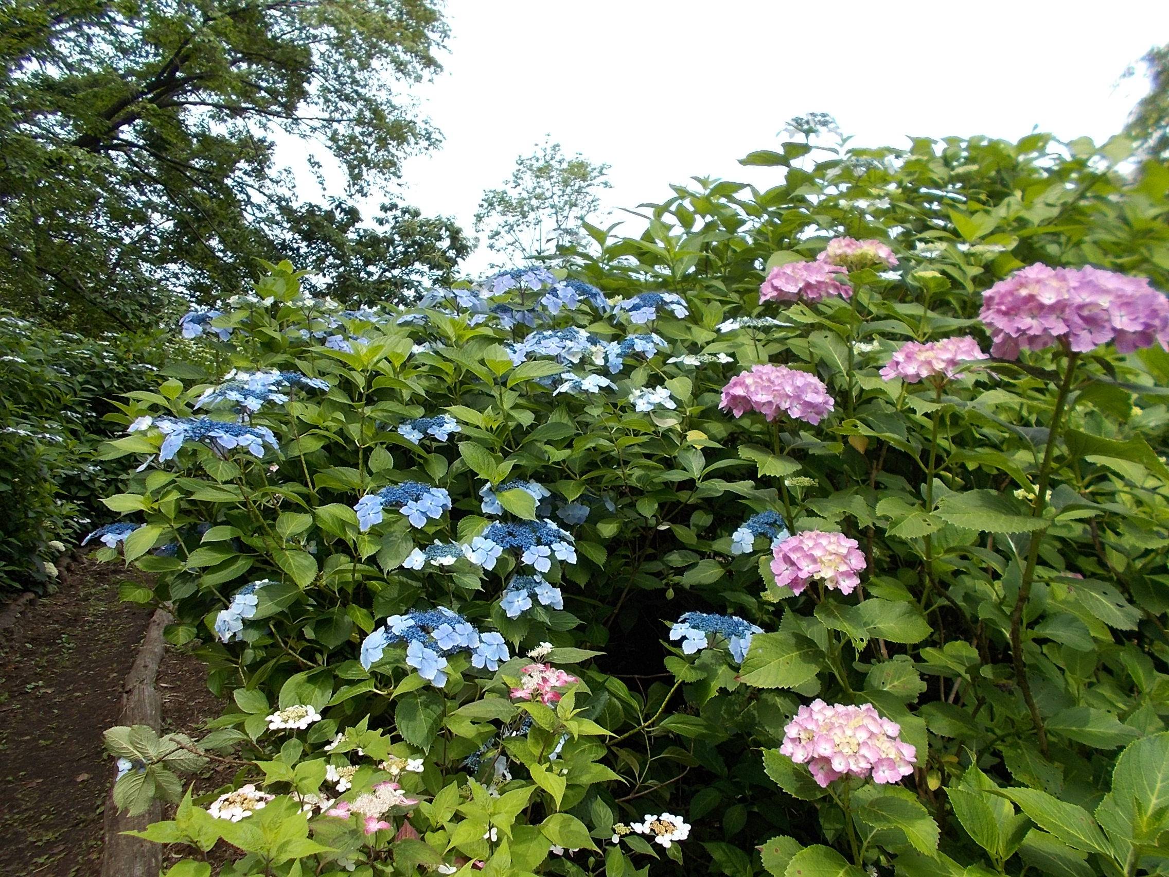 DSCN0020.jpg