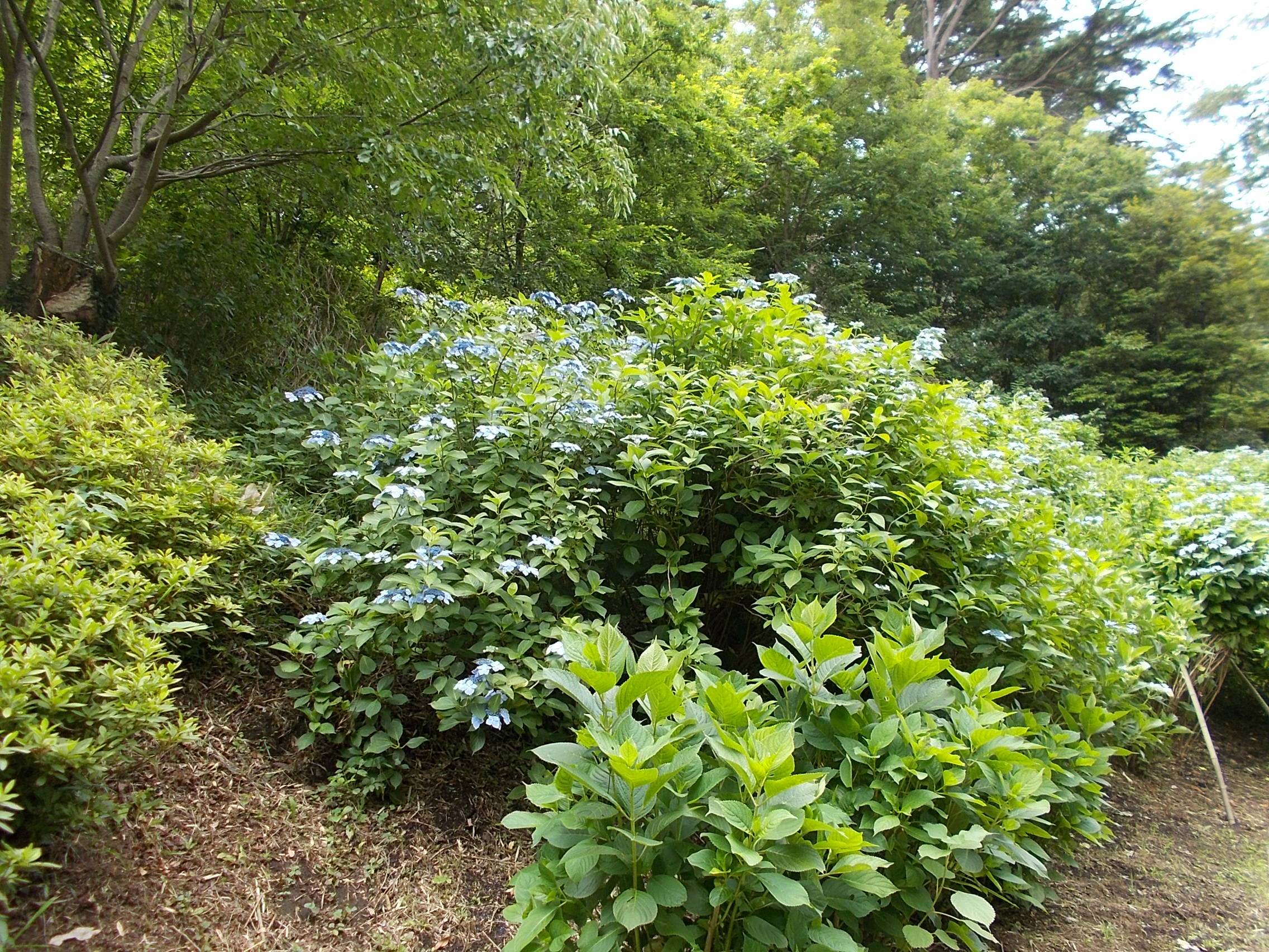 DSCN0022.jpg