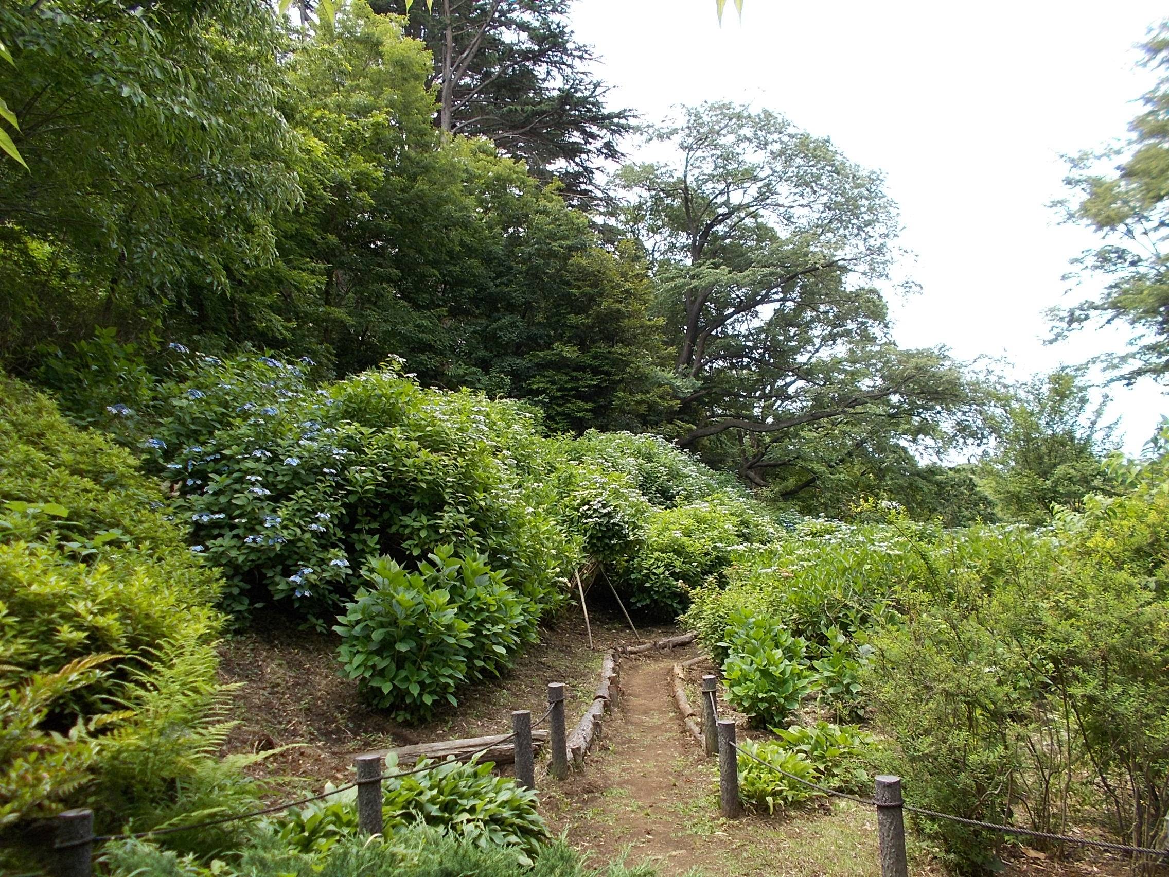 DSCN0023.jpg